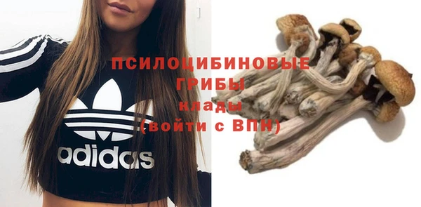 спайс Карталы