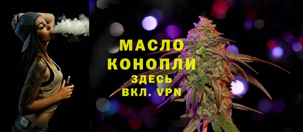 амф Каменка