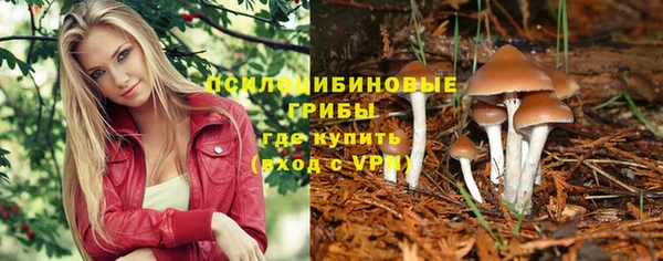 МДПВ Нягань
