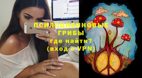 mdpv Касимов