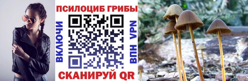 Галлюциногенные грибы Cubensis  гидра как войти  Малмыж  сколько стоит 